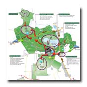 delamere masterplan thumb